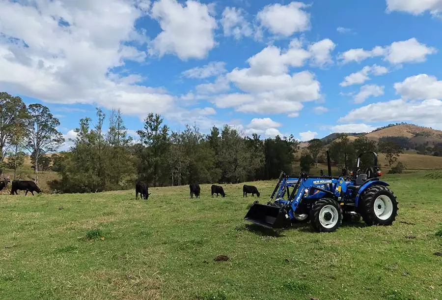 NEW HOLLAND TT3.50 TRACTOR NEW HOLLAND TT3.50 TRACTOR